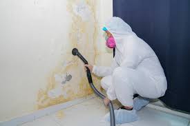 Professional Mold Remediation in Colby, KS